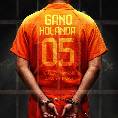 Gano Holanda Perdio China En Vivo