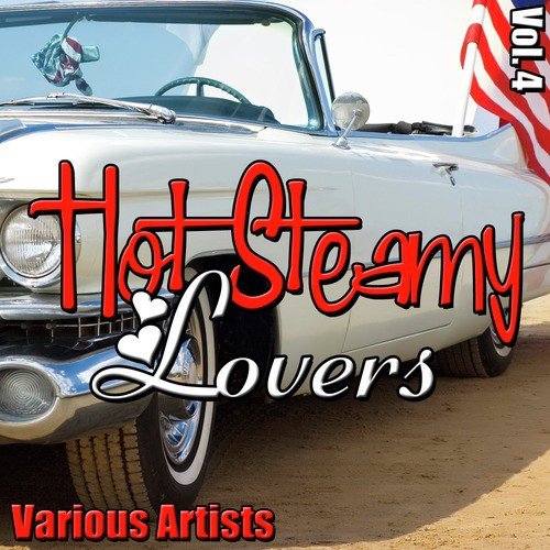 Hot Steamy Lovers Vol. 4