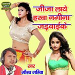 Jija Laye Harwa Nagina Jadwayi Ke (Hindi (Dehati))