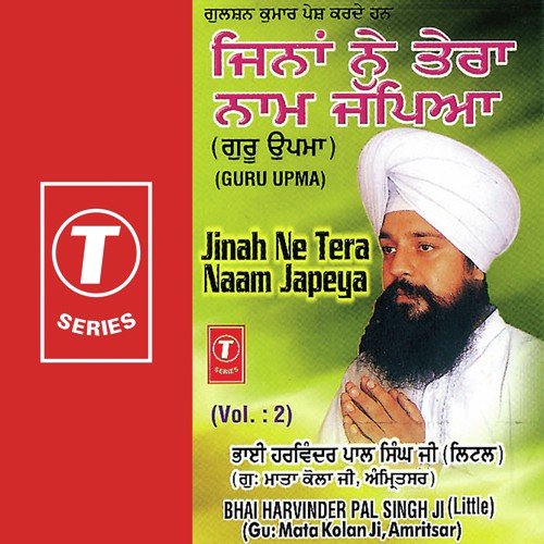 Jinah Ne Tera Naam Japeya (Vol. 2)