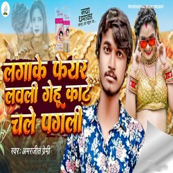 Laga Ke Fair Lovely Gehu Kate Chale Pagli (Chaita Song)-Ii8DczB5BwE