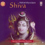 Shri Vedasar Shivastotra - Pashunam Patim Papanasham Paresham