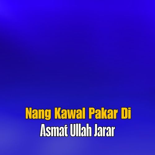 Nang Kawal Pakar Di