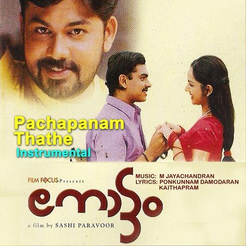 Pachaopanamthathe (Instrumental)