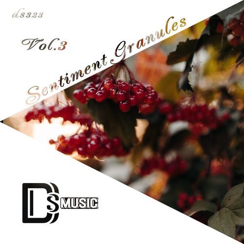 Sentiment Granules, Vol. 3