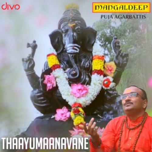 Thaayumaanavane_poster_image