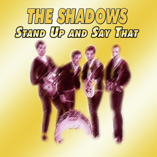The Shadows - Stand Up and Say That