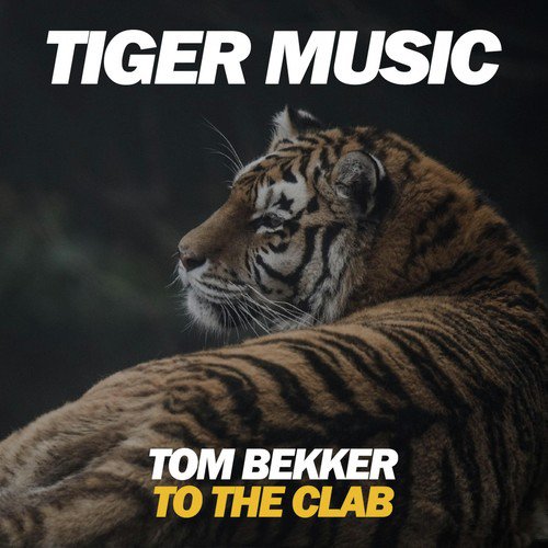 Tom Bekker