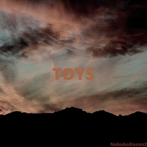 Toys cover art