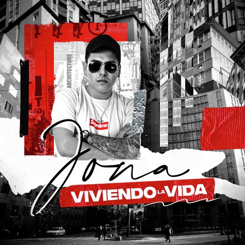 Viviendo la Vida_poster_image