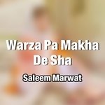Warza Pa Makha De Sha