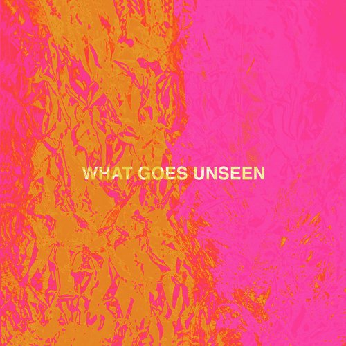 What Goes Unseen_poster_image