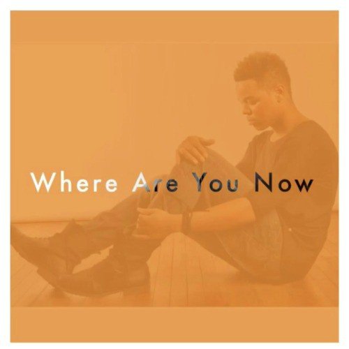 Where Are You Now_poster_image