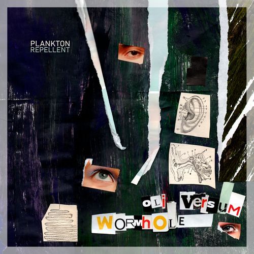 Wormhole (Planctophob Remix) cover art