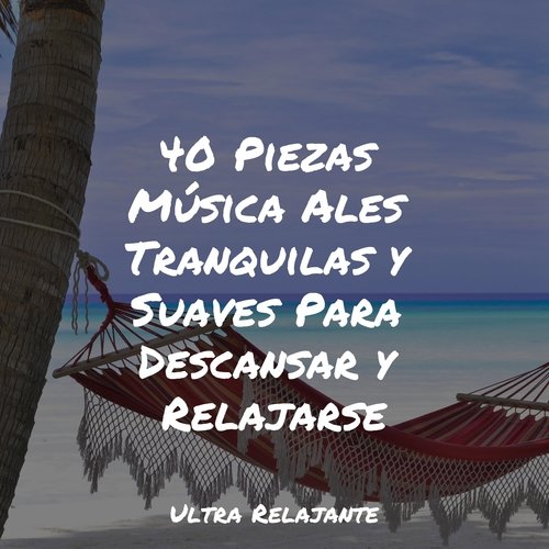 40 Piezas Música Ales Tranquilas y Suaves Para Descansar y Relajarse_poster_image