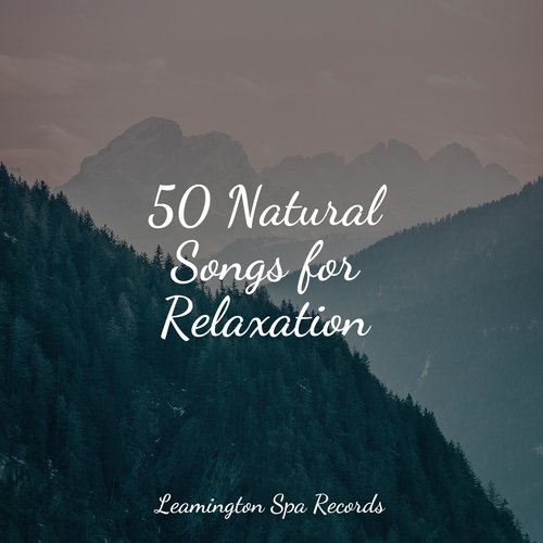 50 Natural Songs for Relaxation