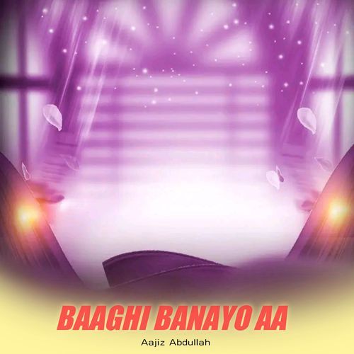 Baaghi Banayo Aa