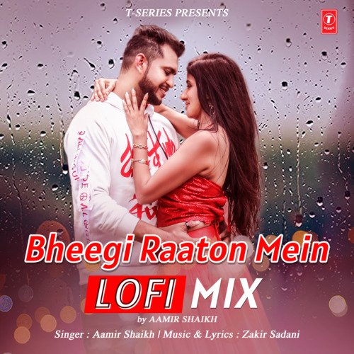 Bheegi Raaton Mein Lofi Mix(Remix By Aamir Shaikh)