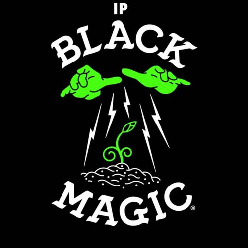 Black Magic_poster_image