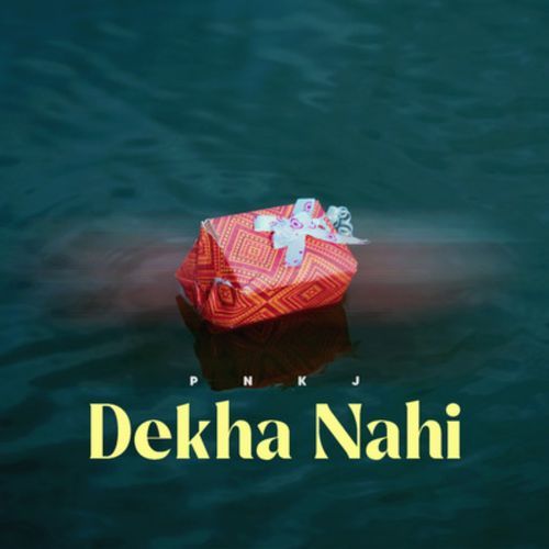 Dekha Nahi