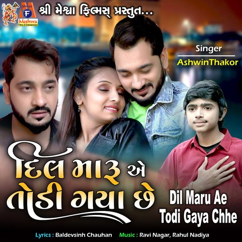 Dil Maru Ae Todi Gaya Chhe