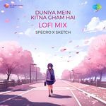 Duniya Mein Kitna Gham Hai Lofi Mix
