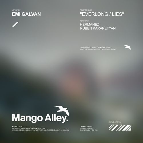 Everlong (Hermanez Remix) cover art