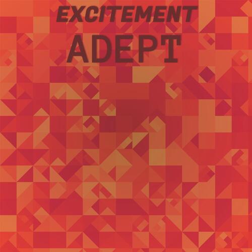 Excitement Adept cover art