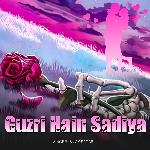 Guzri Hain Sadiya