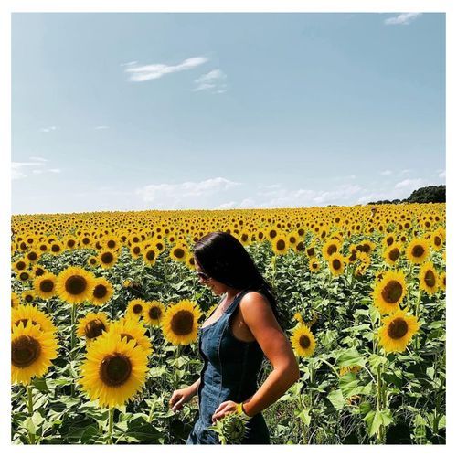 Kelley cover art