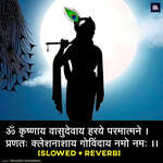 Krishnaya Vasudevaya [Slowed + Reverb] - Krishna Mantra