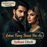 Lokan Faraz Banai Hoi Aa artwork