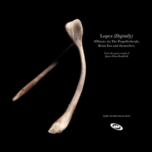 Lopez (Metaphorically) cover art