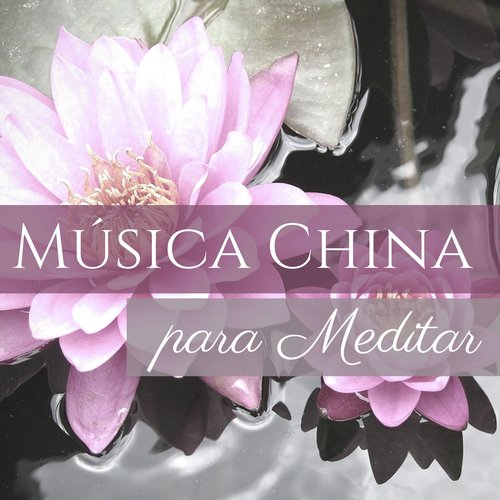 Música para Meditar y Relajarse cover art