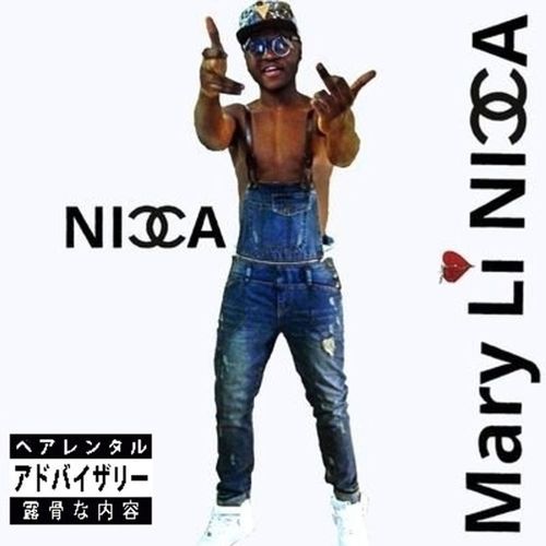 Snap cover art