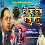 Mi Jay Bhim Wali Nar
