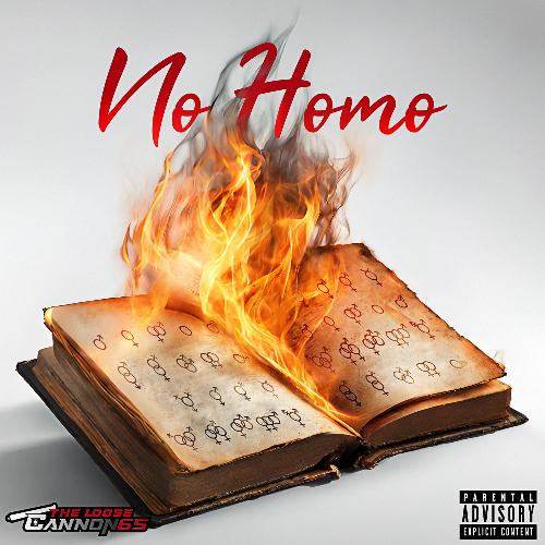 No Homo cover art