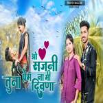 O Sajani Tuna Prem Na Mi Diwana