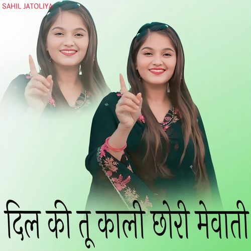 दिल की तू काली छोरी मेवाती