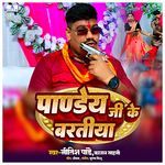 Pandey Ji Ke Baratiya