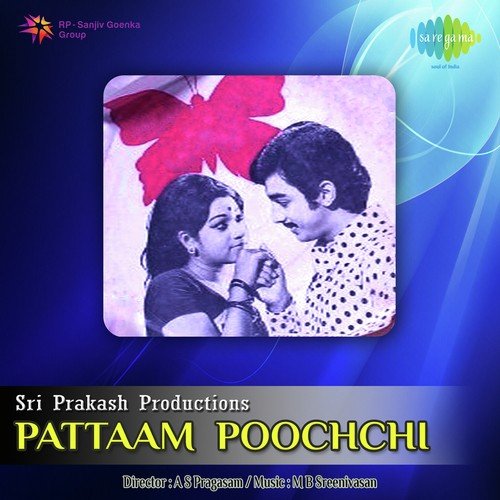 Pattaam Poochchi