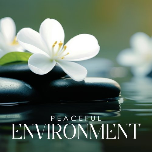 Peaceful Environment: Music to Create a More Positive and Enjoyable Experience for Spa_poster_image