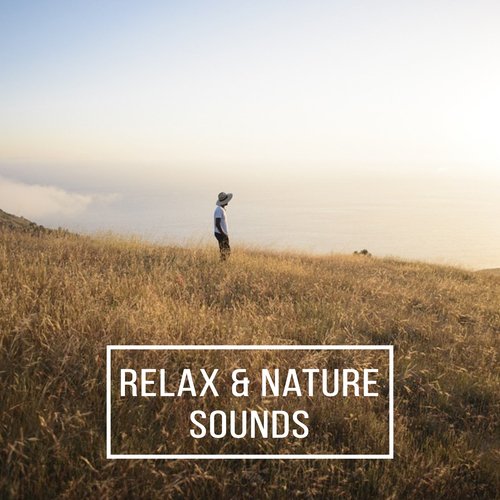 Nature Soundscapes cover art