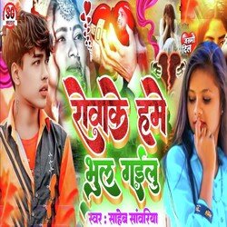 Rowake Hme Bhul Gaielu