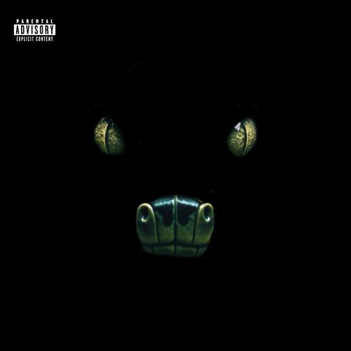 Rules cover art