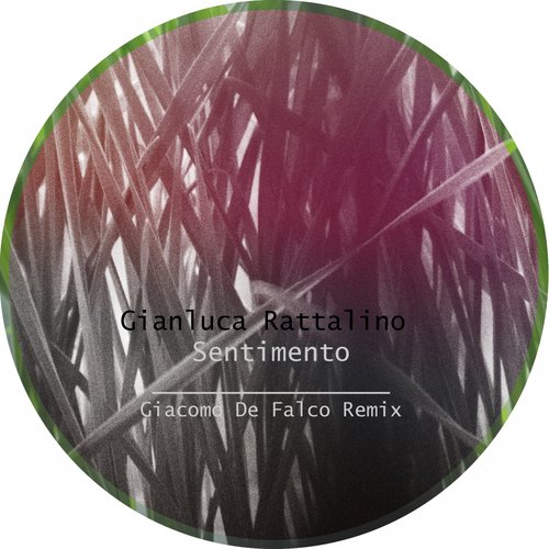 Sentimento (Giacomo De Falco Remix) cover art