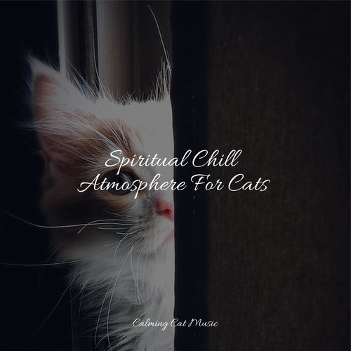 Calm cover art