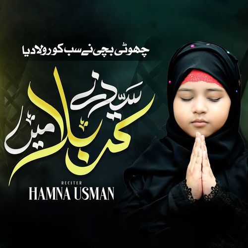 Syed Ne Karbala Main
