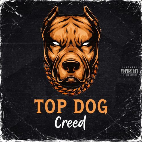 TOP DOG
