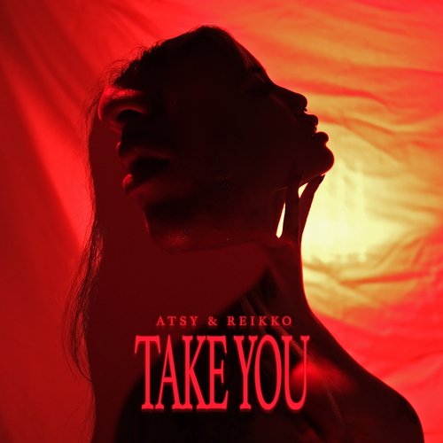 Take You_poster_image